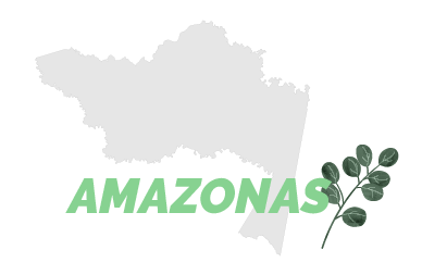 Destino Awake: Amazonas