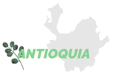 Agency - Destino: Antioquia