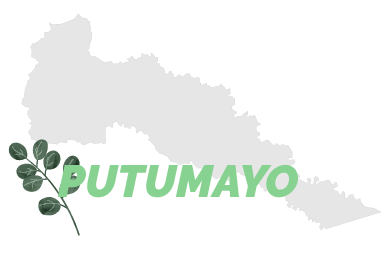 Agency - Destino: Putumayo