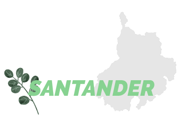 Agency - Destino: Santander