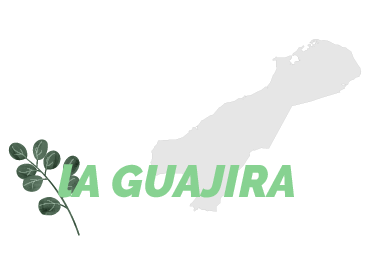 Agency - Destino: La Guajira